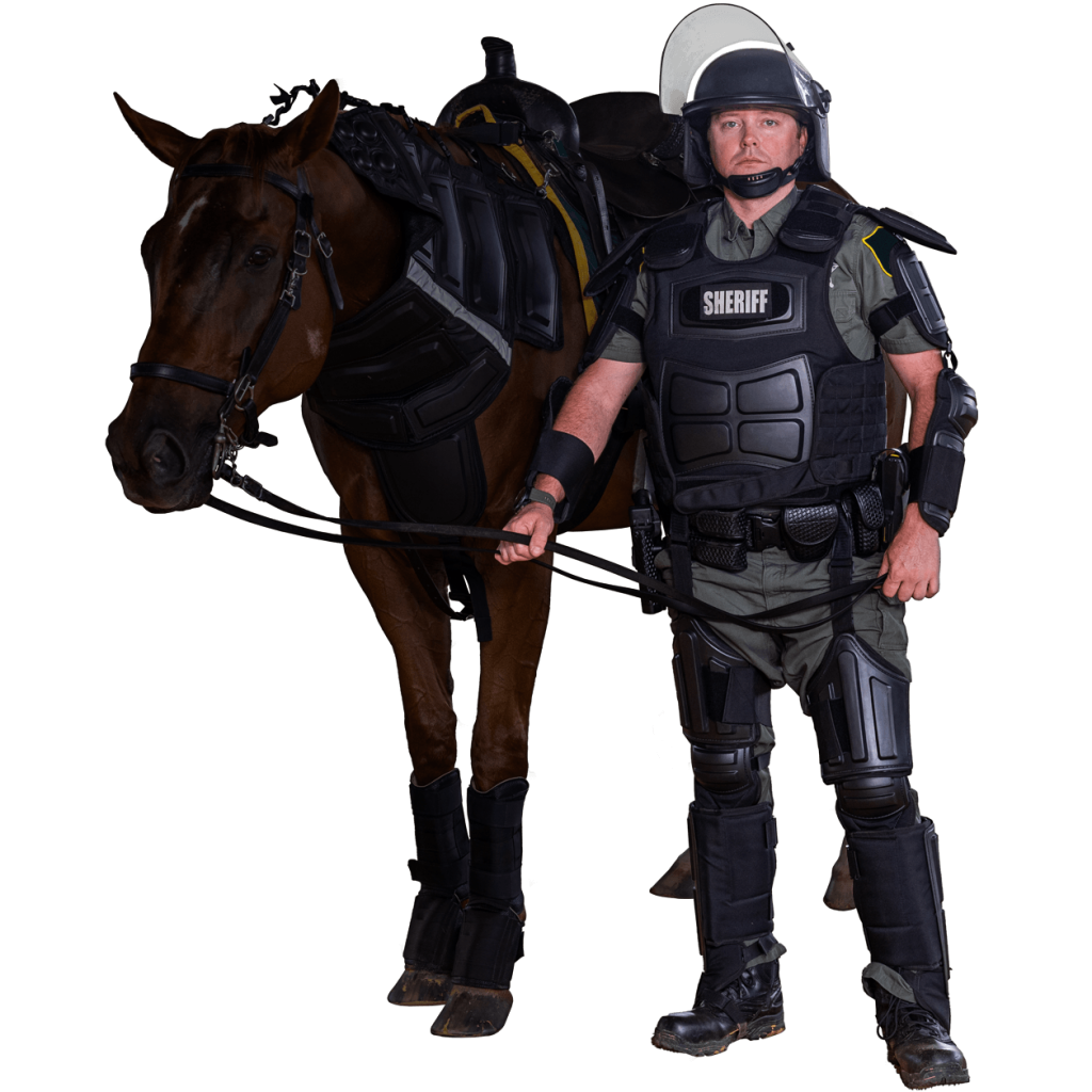 mounted suit