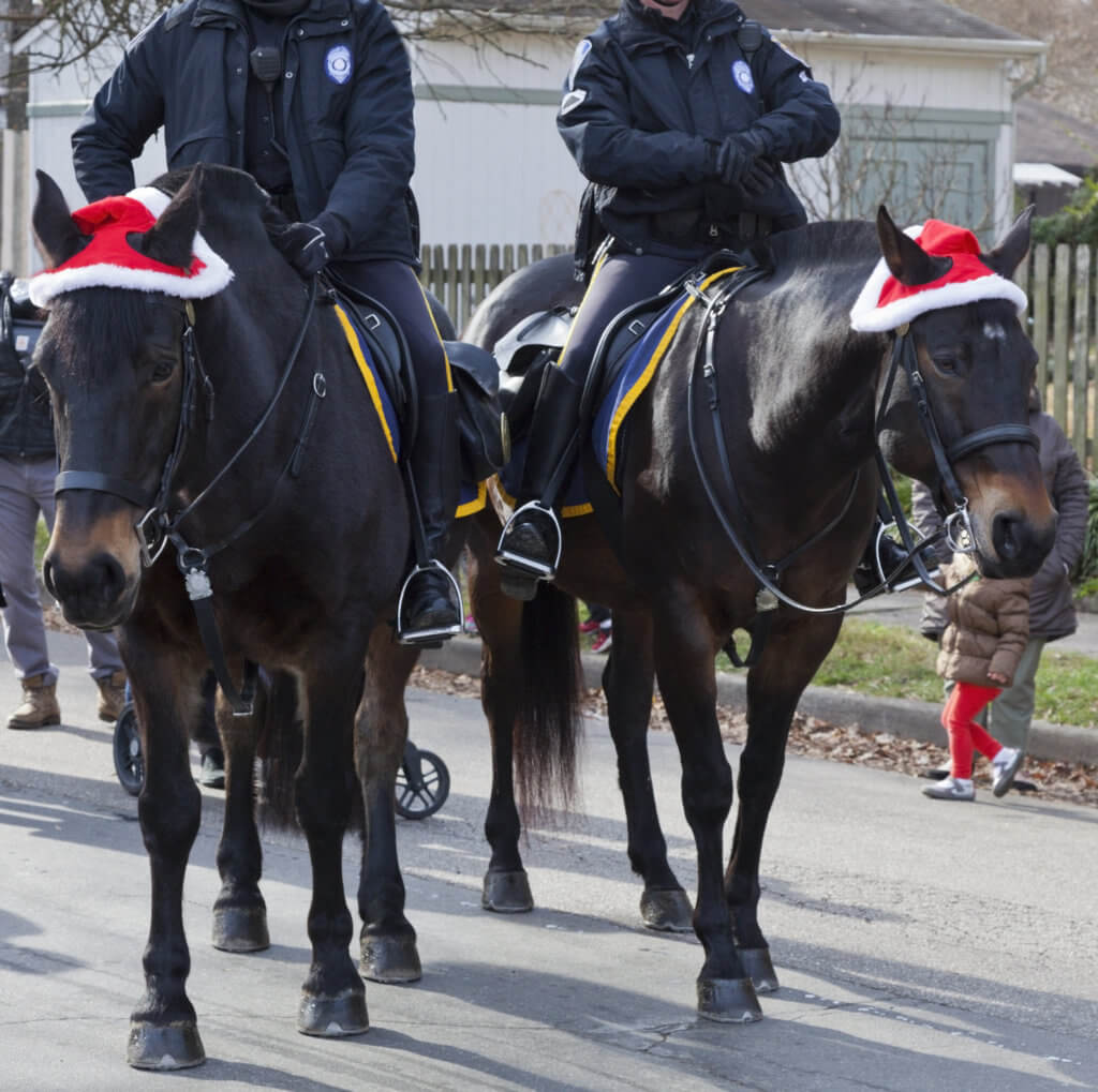mounted suit